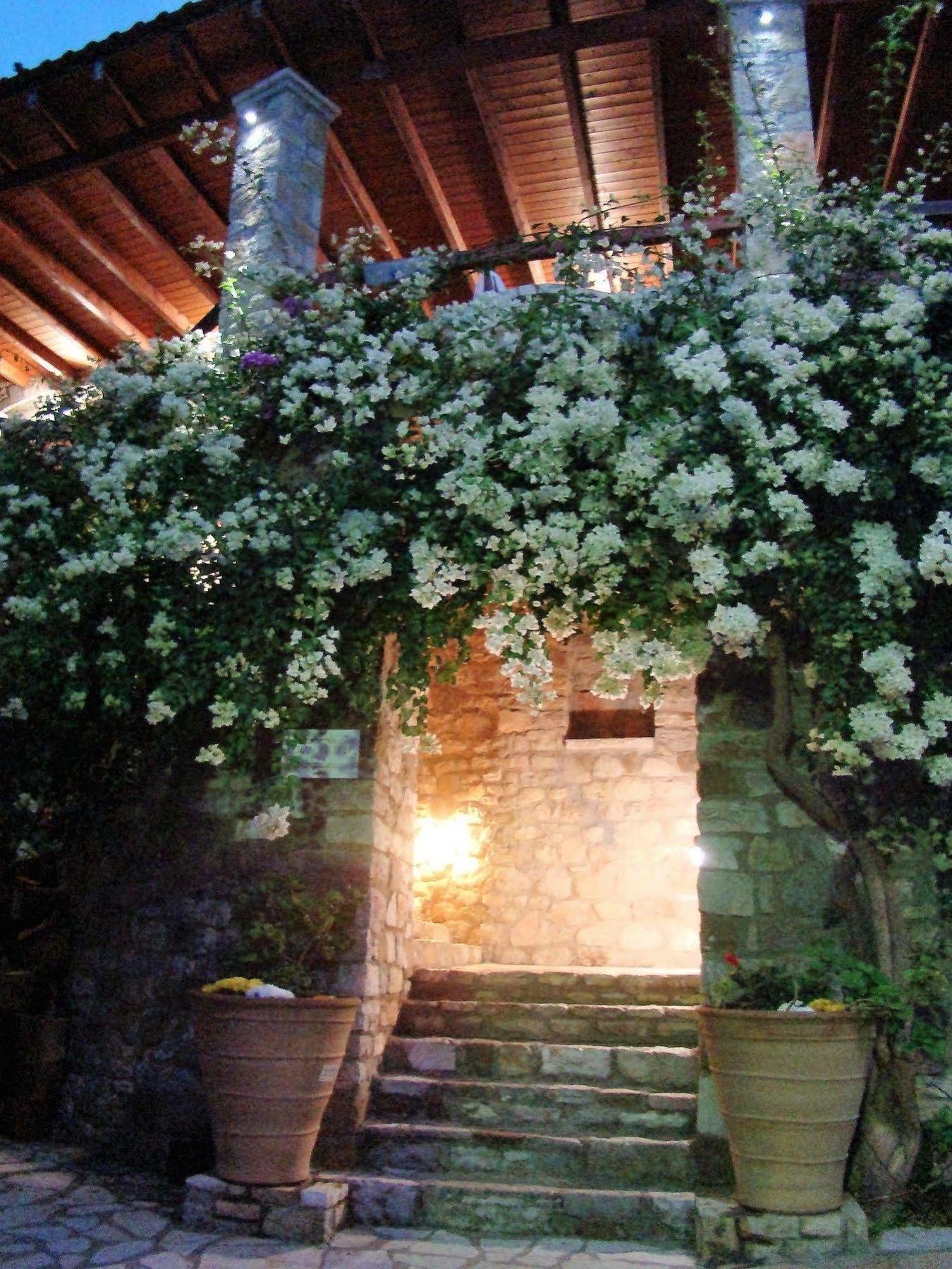Ilion Hotel Nafpaktos Exterior photo